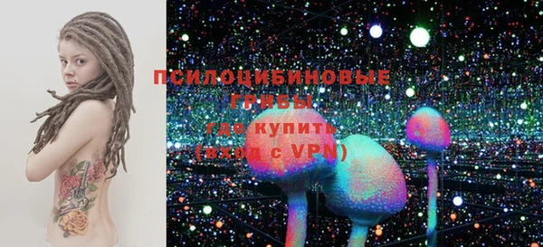 ПСИЛОЦИБИНОВЫЕ ГРИБЫ Михайловск