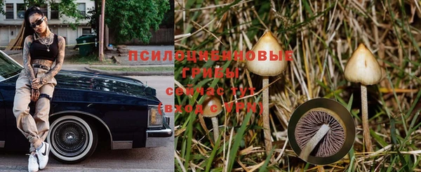 стаф Наволоки