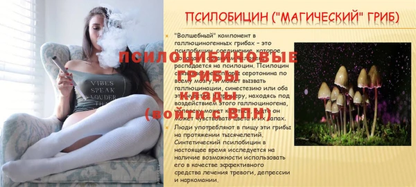 стаф Наволоки
