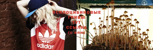 спиды Навашино