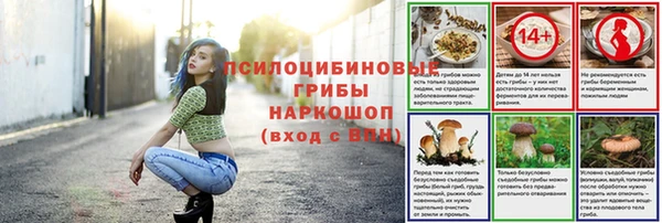 ПСИЛОЦИБИНОВЫЕ ГРИБЫ Михайловск