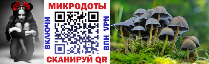 Псилоцибиновые грибы Psilocybine cubensis  что такое   MEGA зеркало  Таганрог 