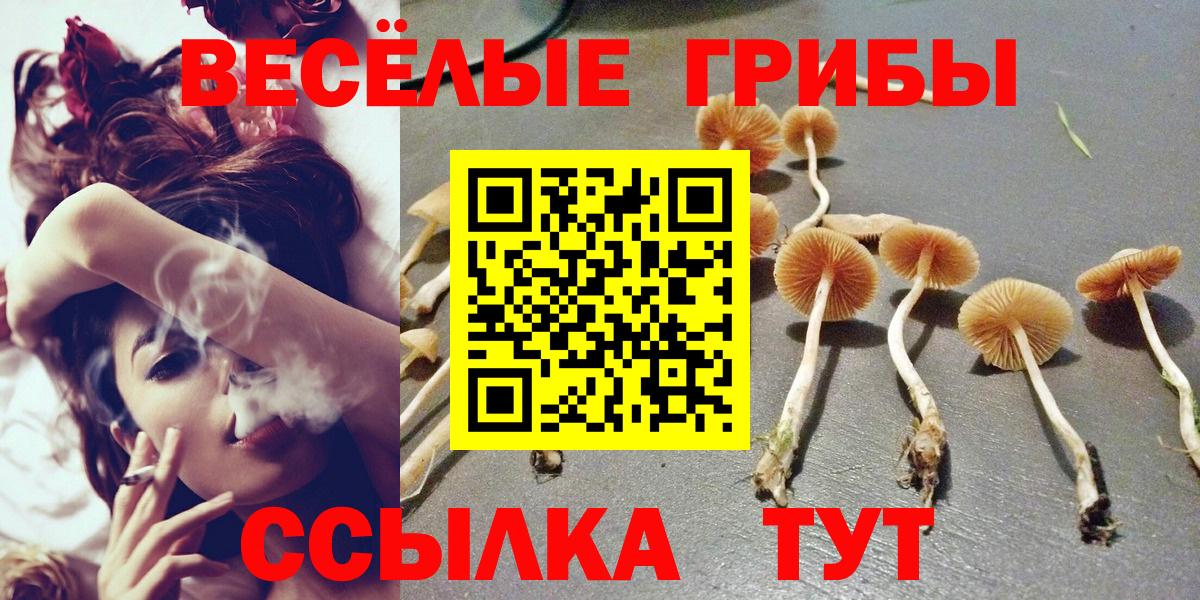Таганрог  купить наркотики сайты  Вход с VPN  Псилоцибиновые грибы ЛСД 