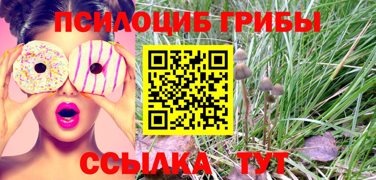 Псилоцибиновые грибы Psilocybine cubensis  Таганрог 