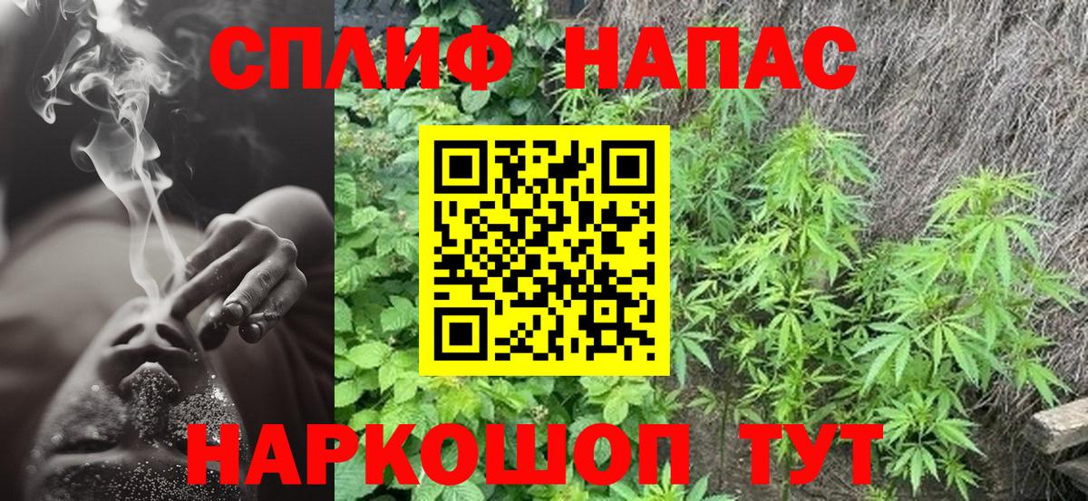 Каннабис Amnesia  Вход с VPN  Бошки Шишки SATIVA & INDICA  Канабис семена  Таганрог  Бошки марихуана план 